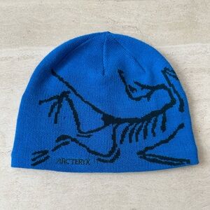 Arc’teryx bird toque